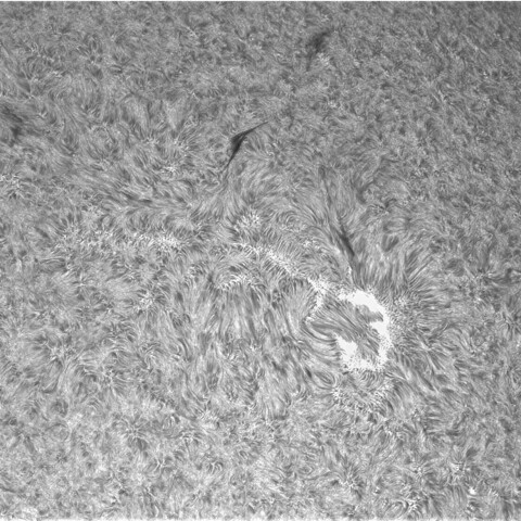 7月28日の太陽②