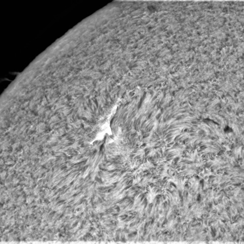 8月10日の太陽①