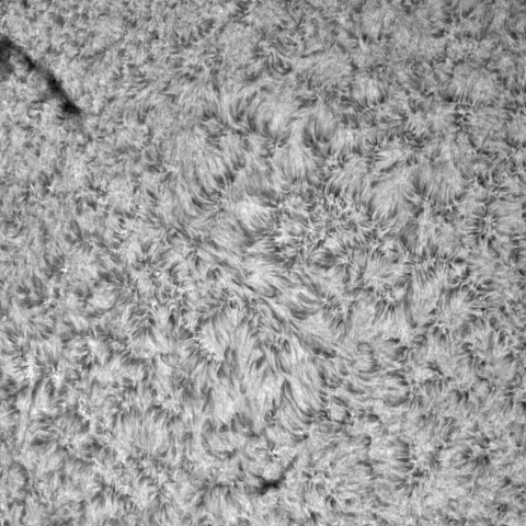 8月20日の太陽①