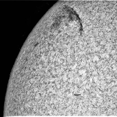 8月20日の太陽②縦位置
