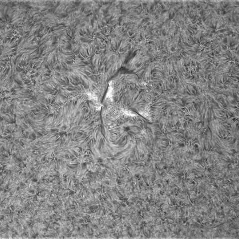 8月26日の太陽②