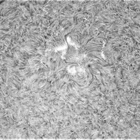 8月27日の太陽③