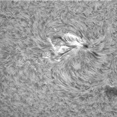 8月27日の太陽②