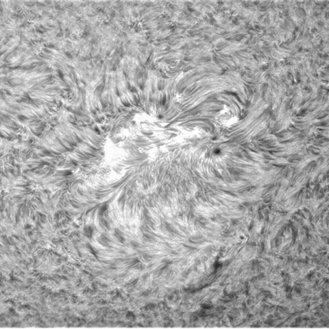 8月29日の太陽②（2860）