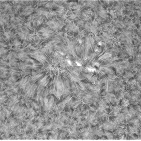 9月22日の太陽④　2873