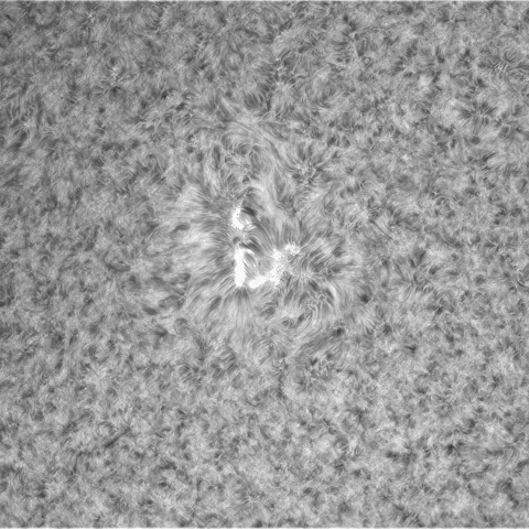 9月22日の太陽③　2872