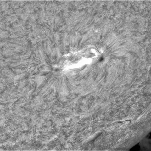 9月30日の太陽②（2877）