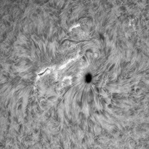 10月07日の太陽②（2882）