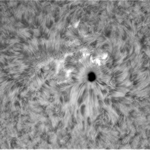 10月08日の太陽①(2882)