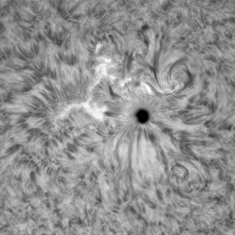 10月09日の太陽①(2882)