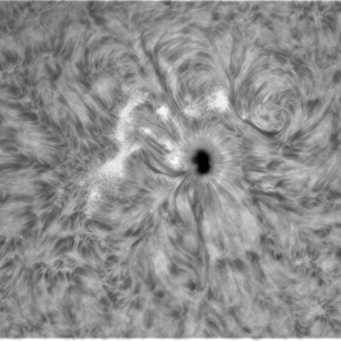 10月11日の太陽②（2882）