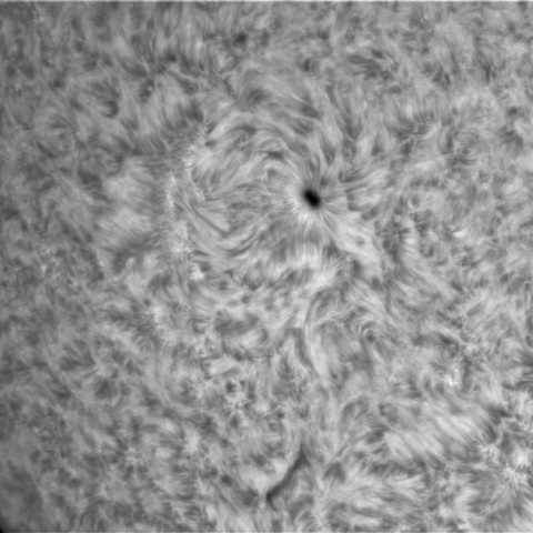 10月21日の太陽②（2886）