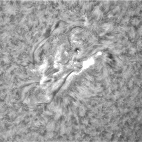 10月30の太陽②（2887　13：00）