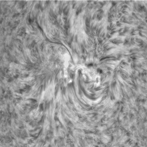 10月30の太陽①（2891　13：02）