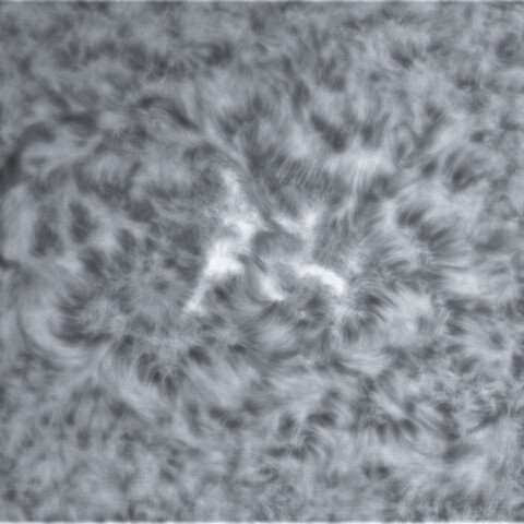 11月13日の太陽③（2895）