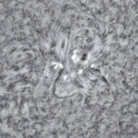 11月13日の太陽②（2894）