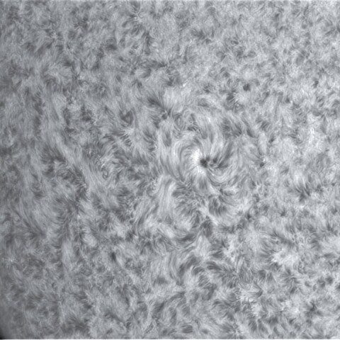 11月17日の太陽①（2896）