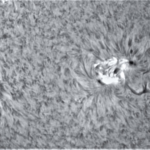 1月7日の太陽②（2924，2925）