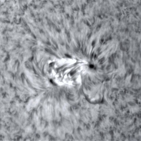 1月7日の太陽③（2924）