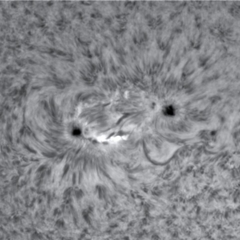 1月8日の太陽②（2924）