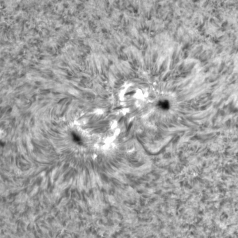 1月9日の太陽①（2924）