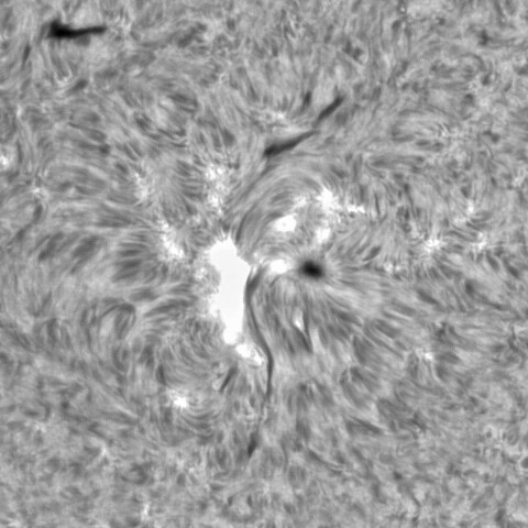 1月10日の太陽④（2925）