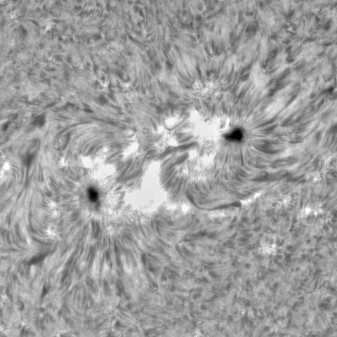 1月10日の太陽③（2924）