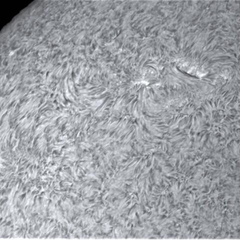 1月19の太陽④（北半球　東側面）