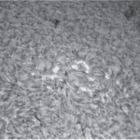 1月22の太陽③（北半球西側）