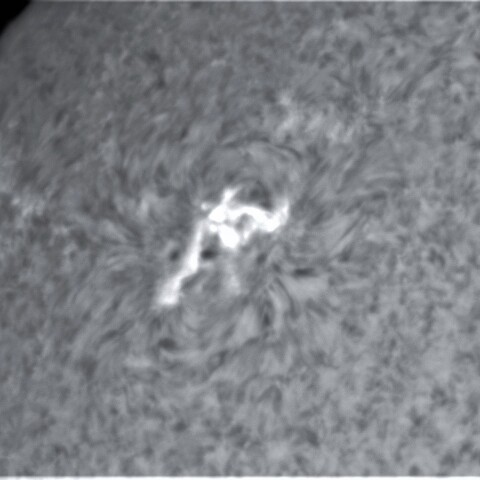 1月27の太陽③（2938，2936）