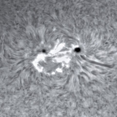 1月31日の太陽②（2936）