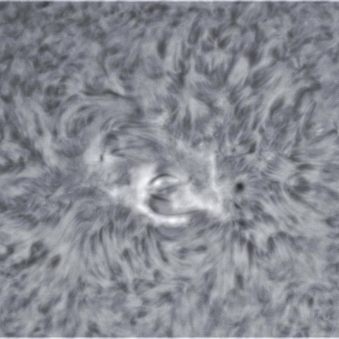 2月4の太陽④（2940）