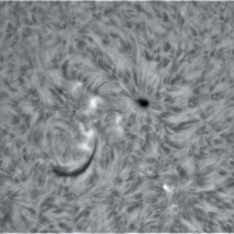 2月4の太陽③（2939）
