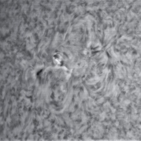 2月7の太陽④（2941）