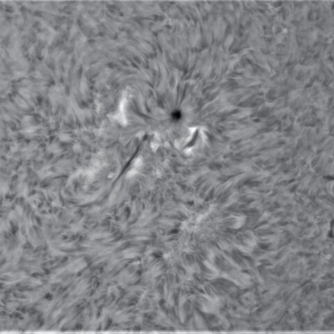 2月7の太陽②（2939）
