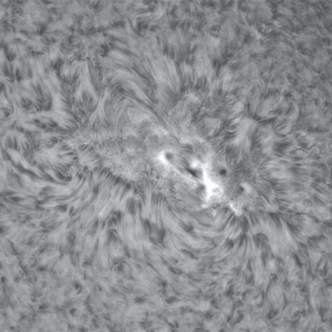 2月8の太陽④（2940）