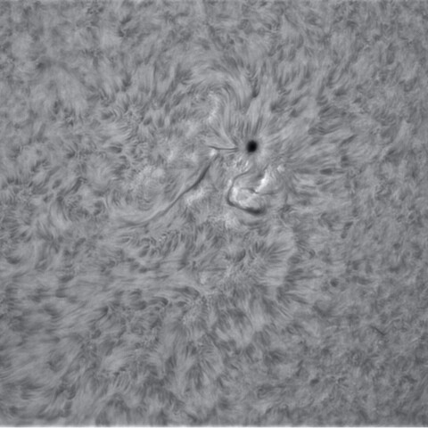 2月8の太陽③（2939）