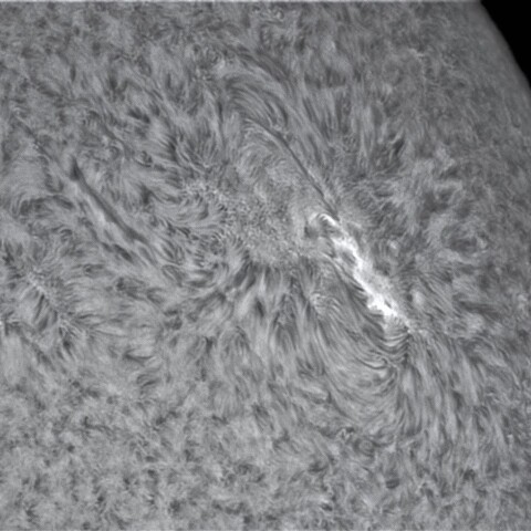 2月9の太陽③（2940）