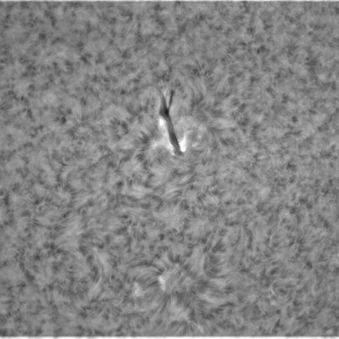 2月18の太陽③（2946サージ？,2951)