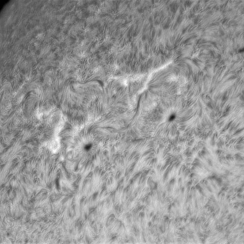 2月24の太陽②（2955，2954）