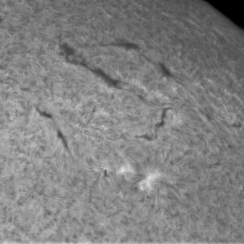 2月25日の太陽③（2953周辺）