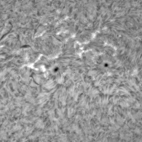 2月26日の太陽②（2955,2954）