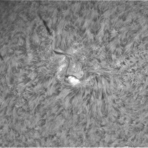 3月2日の太陽③（2958）