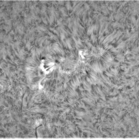 3月2日の太陽②（2957）