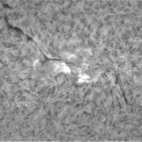 3月4日の太陽③（2958）