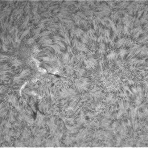 3月9太陽③（2962）