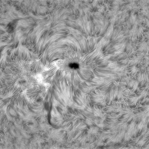 3月9太陽②（2960）