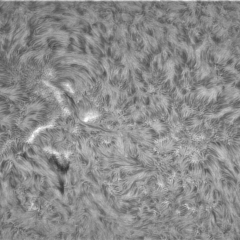 3月10日太陽③（2962）