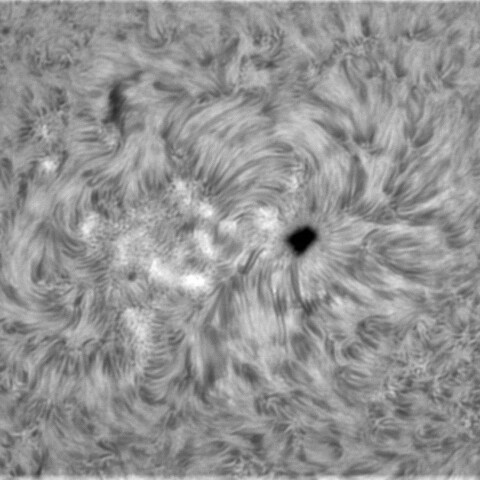 3月10日太陽②（2960）