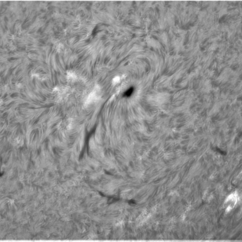 3月12日太陽①（2960、2964，2966）